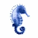 Hippocampus