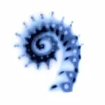 HippocampusTail