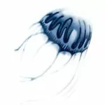 JellyFish-A
