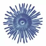 Urchin