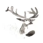 ELK