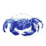 Crab-B