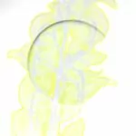 PALMHOUSE-A