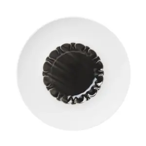 Rimmed Plate with Structured Well丨淺盤丨122