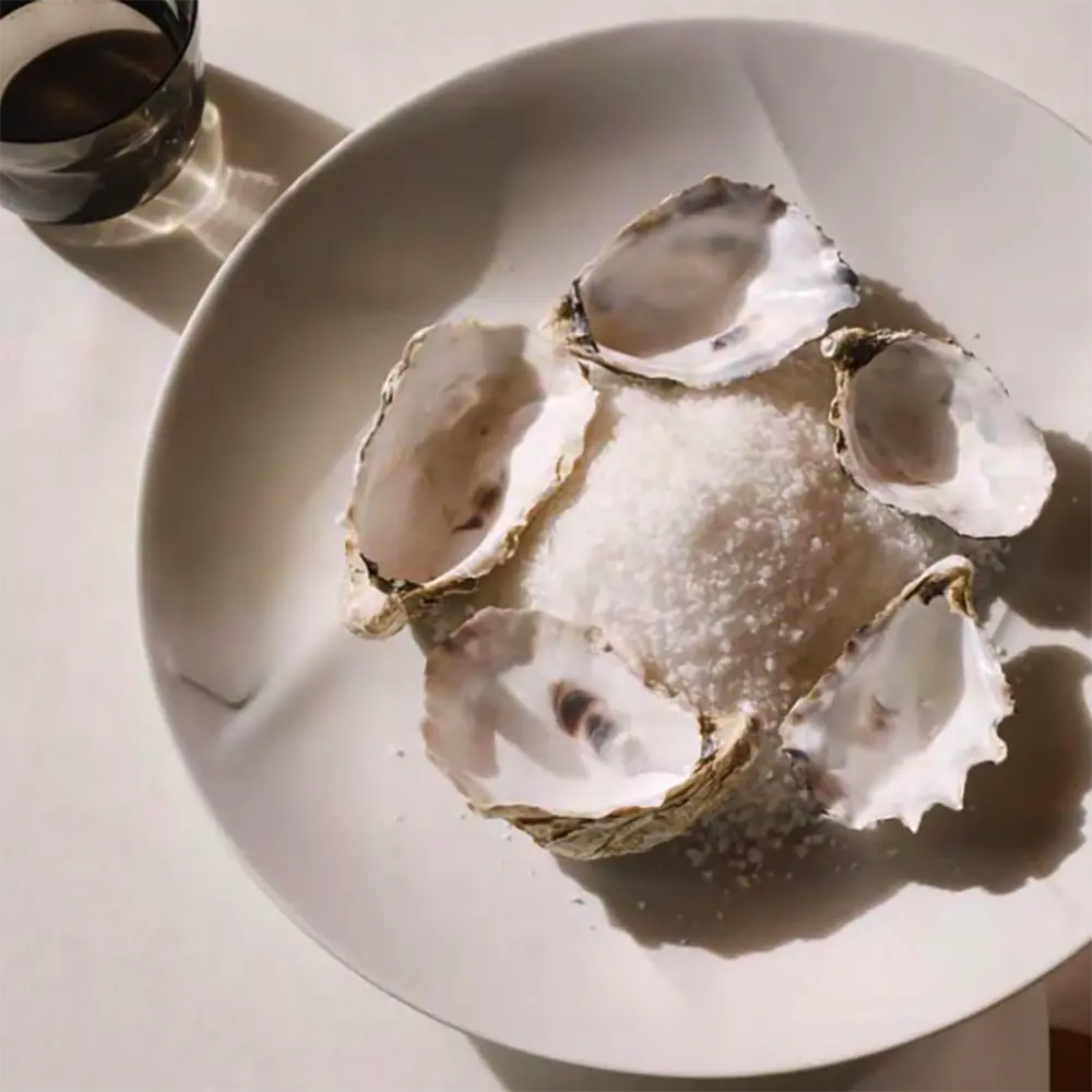 Structured Coupe Plate丨弧形主餐盤丨126：圖片 2